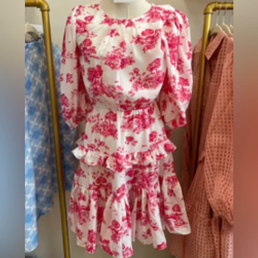 Ainsley Meadow Toile Heartfelt Ruffle Dress